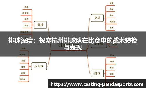 排球深度：探索杭州排球队在比赛中的战术转换与表现